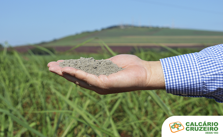 Amostra de calcário agrícola